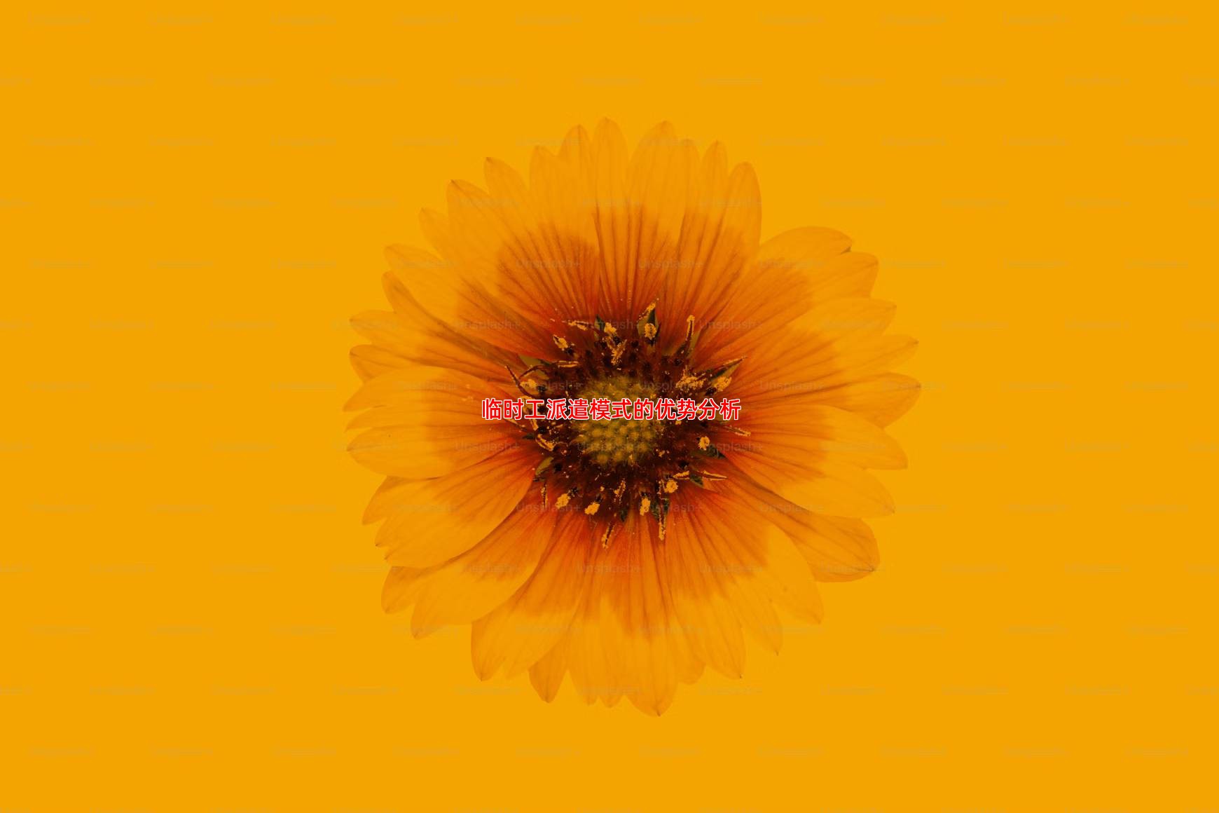 临时工派遣模式的优势分析