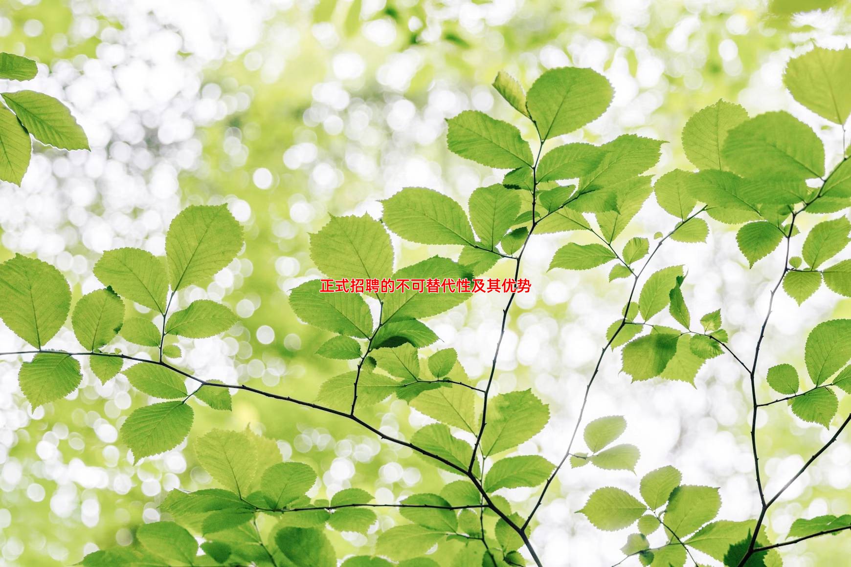 正式招聘的不可替代性及其优势