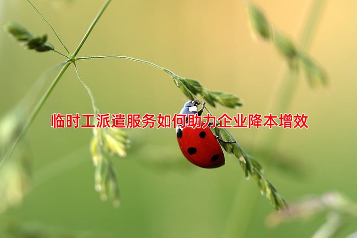 临时工派遣服务如何帮助企业灵活应对用工需求