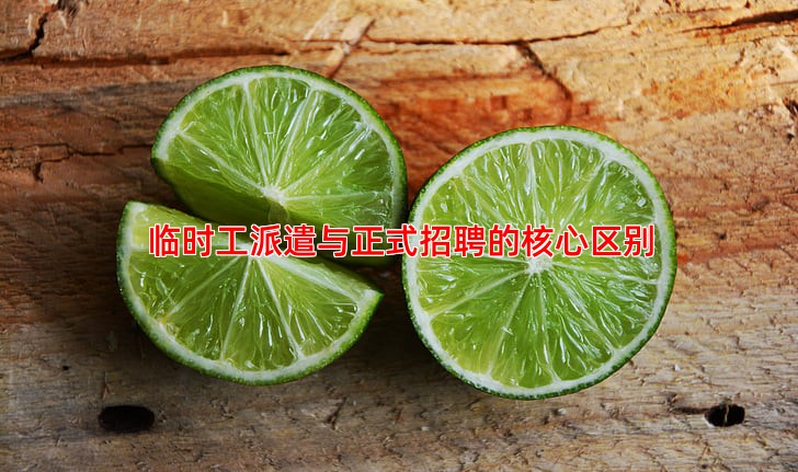 临时工派遣与正式招聘的区别及其优势分析